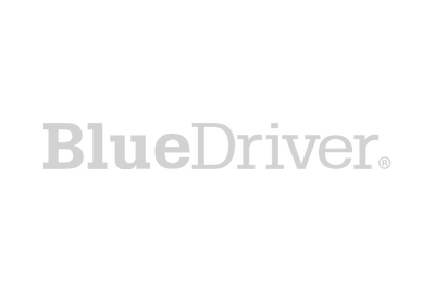 BlueDriver